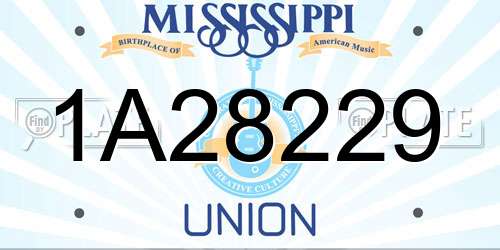 1A28229 Mississippi License Plate