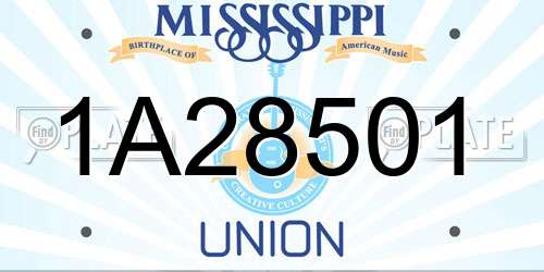 1A28501 Mississippi License Plate