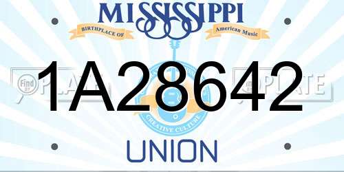 1A28642 Mississippi License Plate