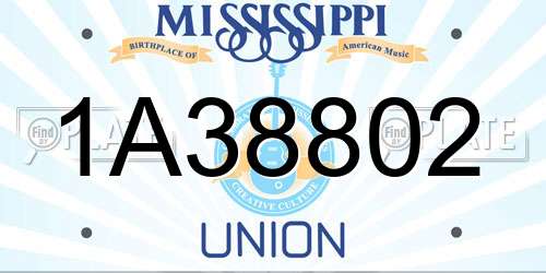 1A38802 Mississippi License Plate