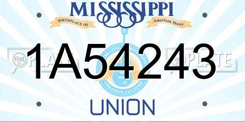 1A54243 Mississippi License Plate