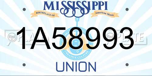 1A58993 Mississippi License Plate