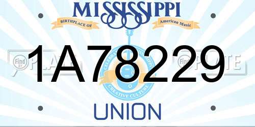 1A78229 Mississippi License Plate