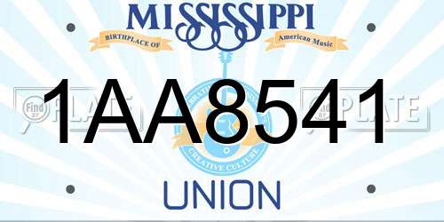 1AA8541 Mississippi License Plate