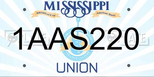 1AAS220 Mississippi License Plate