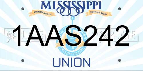 1AAS242 Mississippi License Plate