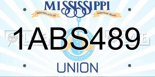 1ABS489 Mississippi License Plate
