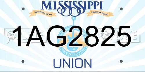 1AG2825 Mississippi License Plate