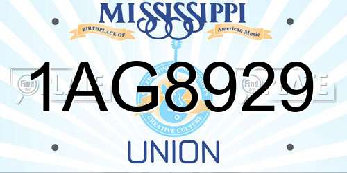 1AG8929 Mississippi License Plate