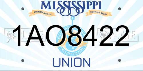 1AO8422 Mississippi License Plate