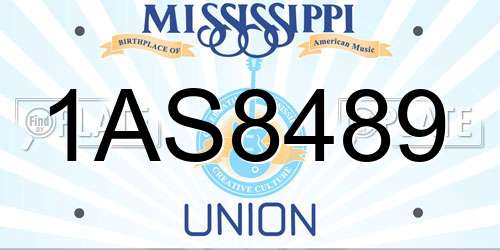 1AS8489 Mississippi License Plate