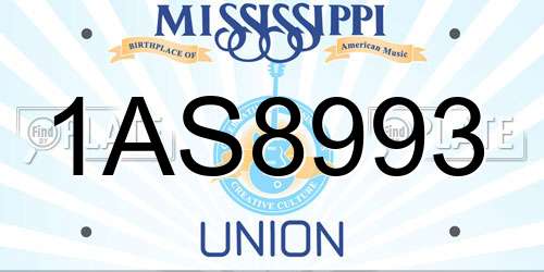 1AS8993 Mississippi License Plate