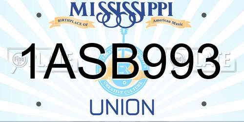 1ASB993 Mississippi License Plate