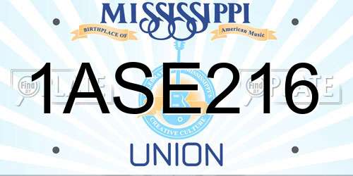 1ASE216 Mississippi License Plate