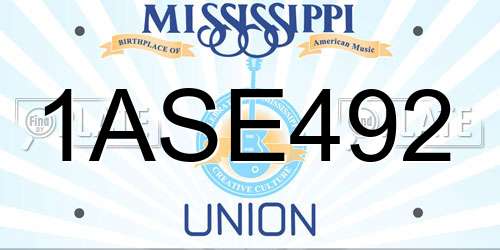 1ASE492 Mississippi License Plate