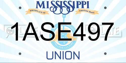 1ASE497 Mississippi License Plate