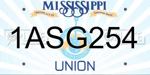 1ASG254 Mississippi License Plate