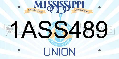 1ASS489 Mississippi License Plate