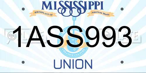 1ASS993 Mississippi License Plate