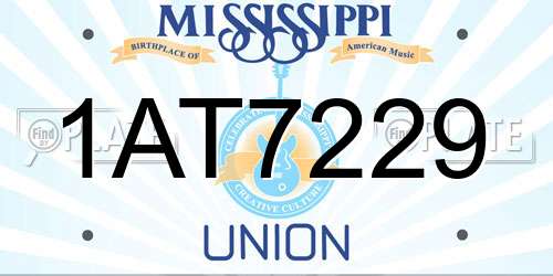 1AT7229 Mississippi License Plate