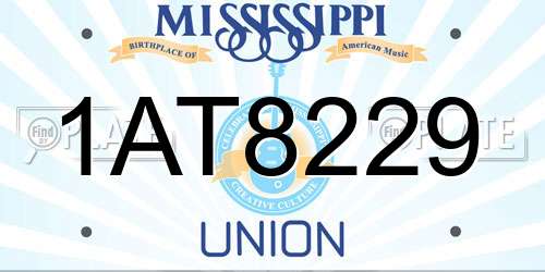 1AT8229 Mississippi License Plate