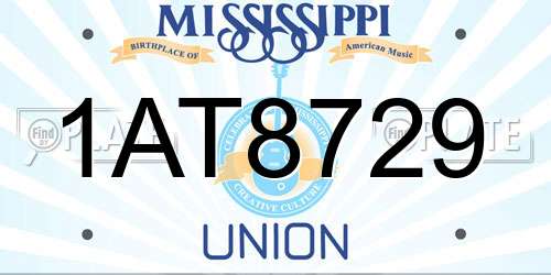 1AT8729 Mississippi License Plate