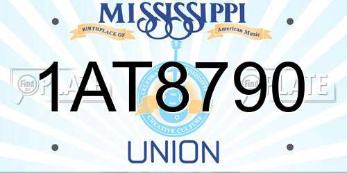 1AT8790 Mississippi License Plate