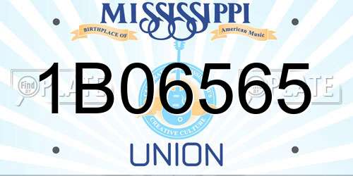 1B06565 Mississippi License Plate