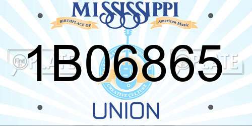 1B06865 Mississippi License Plate