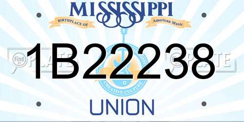 1B22238 Mississippi License Plate