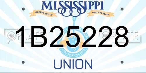 1B25228 Mississippi License Plate