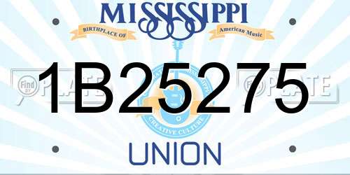 1B25275 Mississippi License Plate