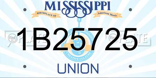 1B25725 Mississippi License Plate