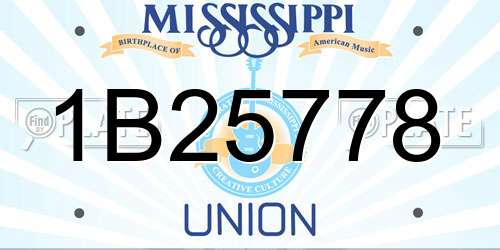 1B25778 Mississippi License Plate