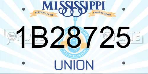 1B28725 Mississippi License Plate