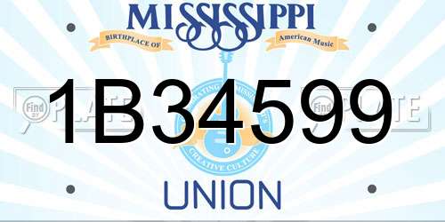 1B34599 Mississippi License Plate