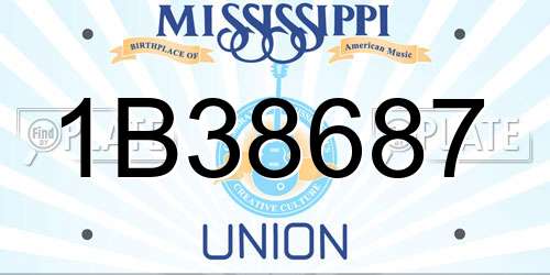 1B38687 Mississippi License Plate