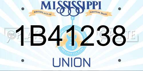 1B41238 Mississippi License Plate