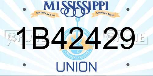 1B42429 Mississippi License Plate