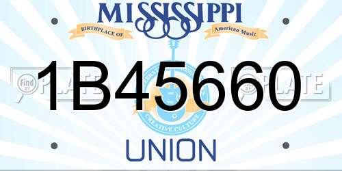 1B45660 Mississippi License Plate