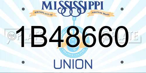 1B48660 Mississippi License Plate