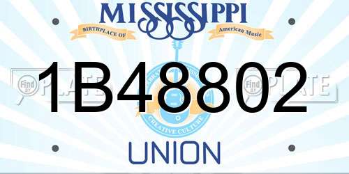 1B48802 Mississippi License Plate