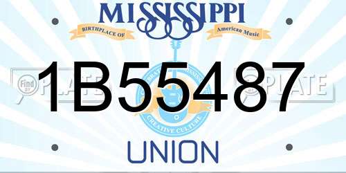 1B55487 Mississippi License Plate