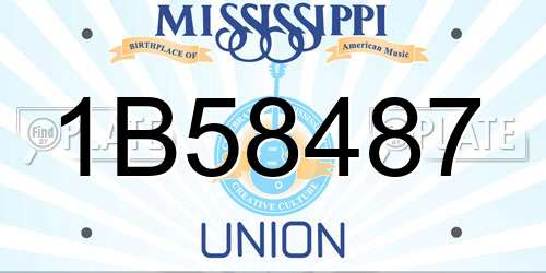 1B58487 Mississippi License Plate