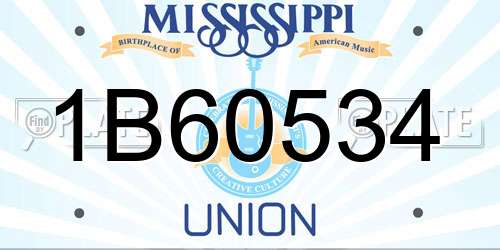 1B60534 Mississippi License Plate