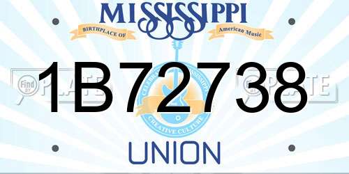 1B72738 Mississippi License Plate