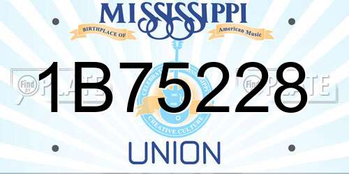 1B75228 Mississippi License Plate