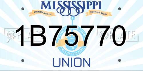 1B75770 Mississippi License Plate