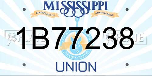 1B77238 Mississippi License Plate