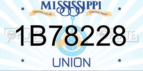 1B78228 Mississippi License Plate